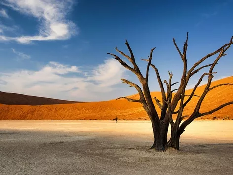 E-VoA system in Namibia: who is eligible to apply for a permit and the application procedure