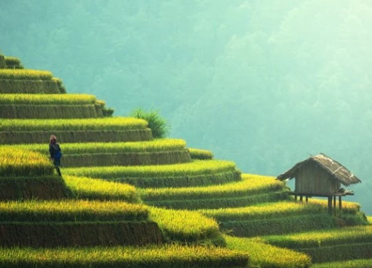 Медицина в Таїланді для іноземців 2025: особливості страхування та медичний туризм