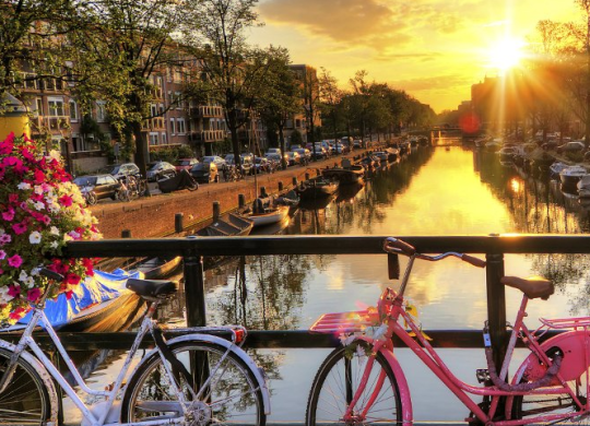 A educação e o sistema educativo nos Países Baixos: como entrar numa universidade para um estrangeiro