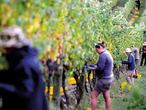 New Zealand Seasonal Work Visa: requirements, how to apply and changes in 2025