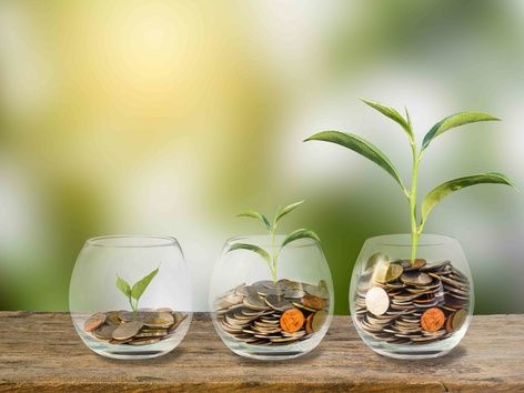 Зелені інвестиції в Бразилії: дослідження проєктів сталого розвитку