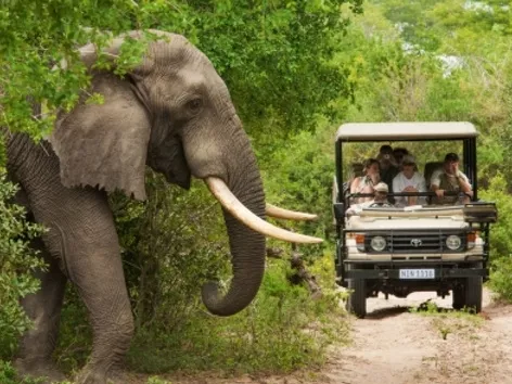 Les pays d'Afrique australe et du golfe Persique simplifient la législation migratoire pour les touristes : quels pays du monde envisagent d'introduire des visas uniformes ?