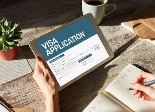 ТОП-20 найбільш затребуваних професій в Ірландії для іноземців у 2024 році: актуальний список