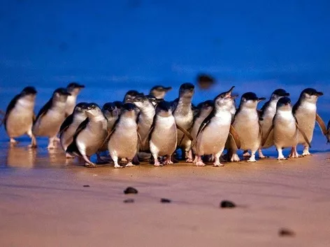 Destinos de viagem populares em 2025: para onde planeia viajar a maioria dos viajantes?