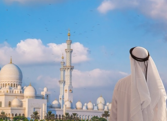 Працевлаштування у Саудівській Аравії для експатів у 2024 році: переваги та недоліки, де працюють експати та робоча віза