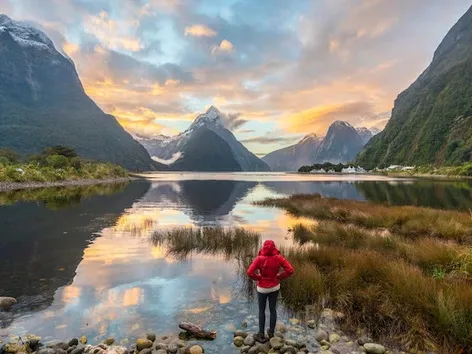 Віза для віддалених працівників у Новій Зеландії: Нова Зеландія послаблює правила гостьової візи для віддалених працівників у 2025 році