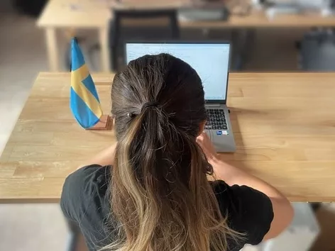 Иммиграция в Швецию: как политика государства менялась в 2024 году и чего ожидать в 2025 году?