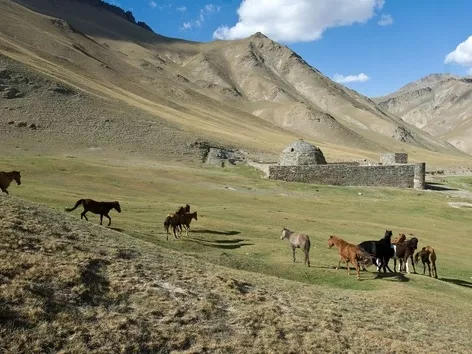 Introduction of a single visa in Central Asian countries: a new era of travel and what tourists should see in the region