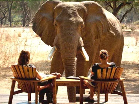 Безвізові подорожі в Замбію: держава розширює політику та додала 53 нові держави