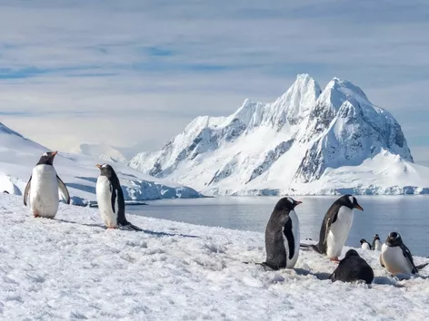 8 Iconic Spots in Antarctica for Every Traveler’s Bucket List