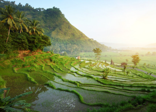 Educação na Indonésia: vantagens e documentos necessários