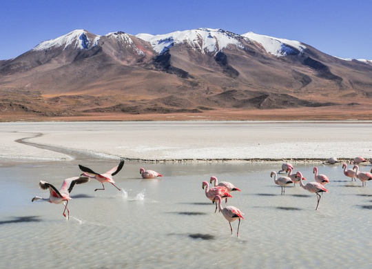 Лікування в Болівії: медичне обслуговування та варіанти страхування для іноземців
